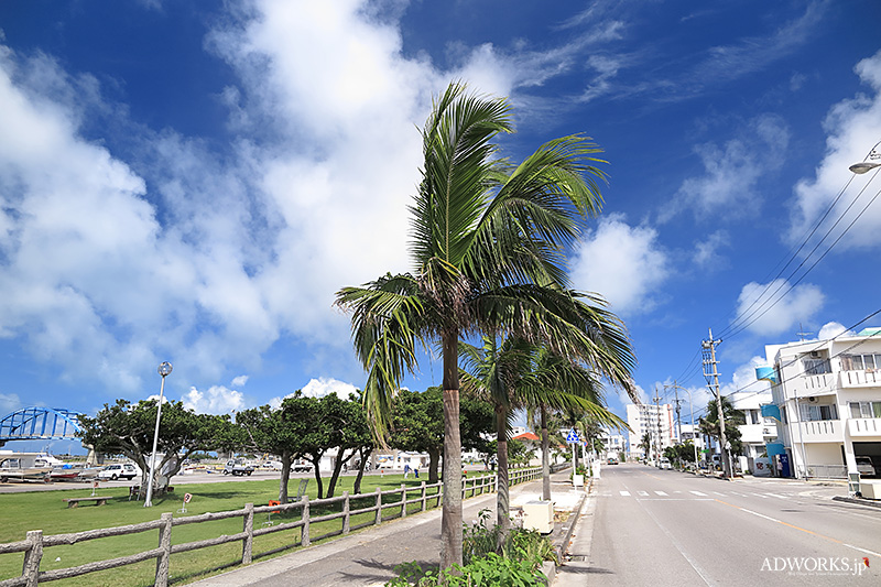 ホテルから南へ100m、国道290号線